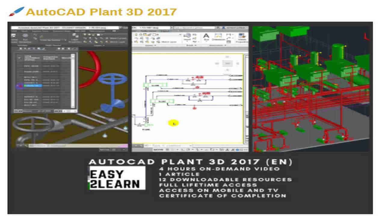 AutoCAD Plant D course.