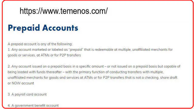 What are the prepaid accounts?