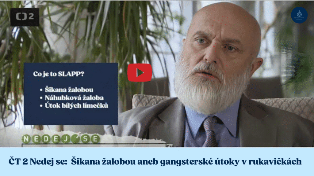 VIDEO ČT2 NEDEJ SE: Ochrana lidských práv před SLAPP útoky