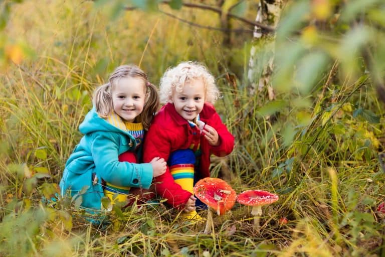 Kindergartenkinder, Schulklassen Besuch der Waldschule Solingen