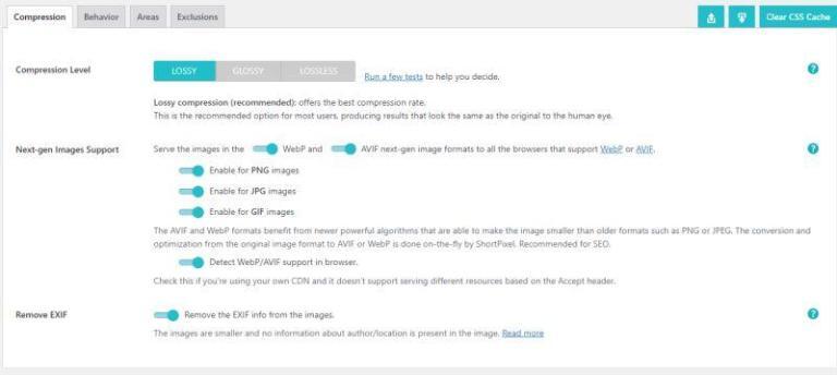 ShortPixel AI Settings-CDN-Wordpress