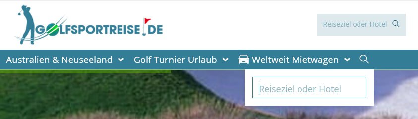 OCEANWP suchen im Menü anpassen