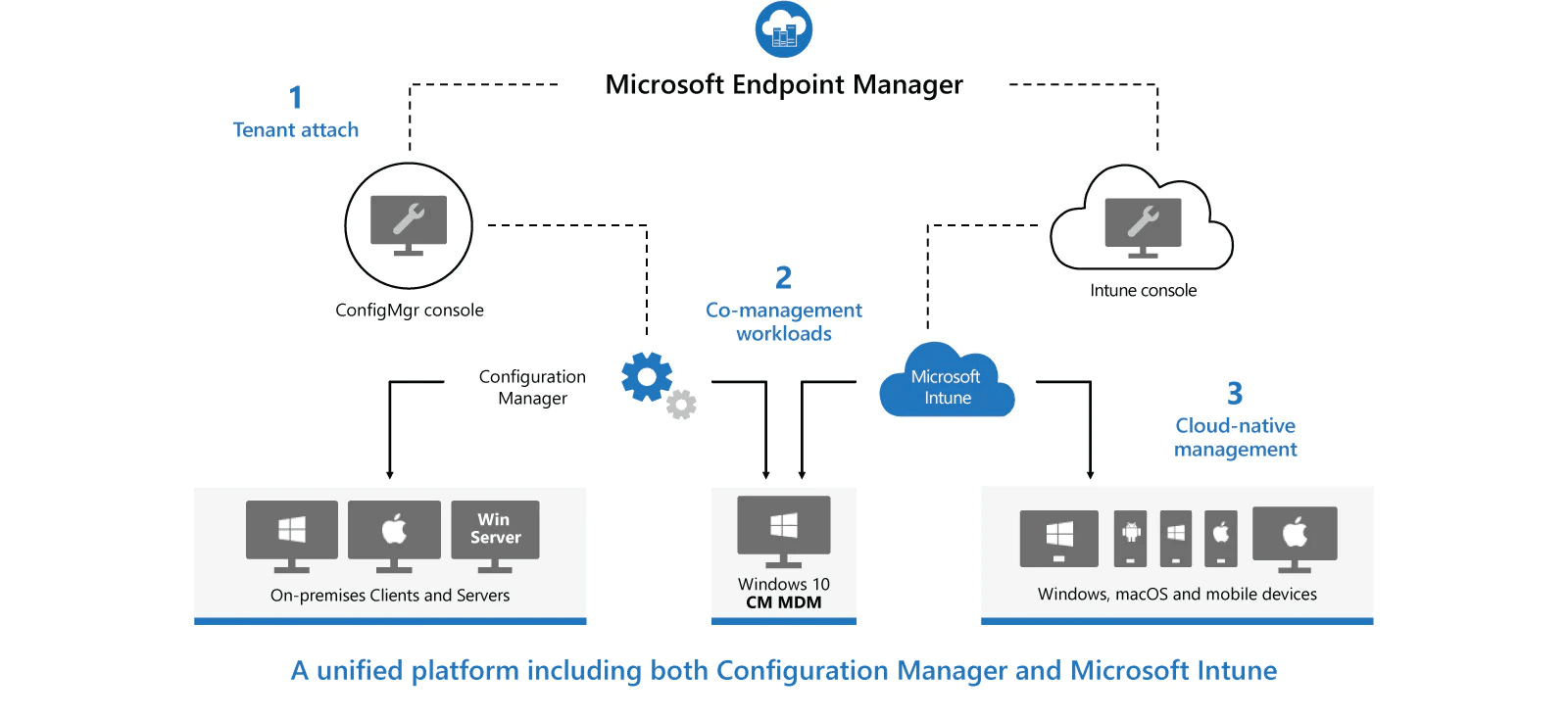 Microsoft-Endpoint-Esquema Esquema de Microsoft Endpoint