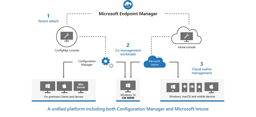 Esquema de Microsoft Intune Esquema de Microsoft Intune