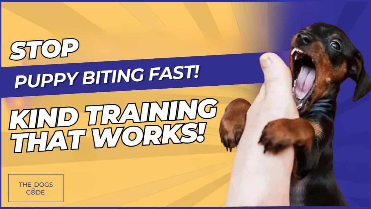 Puppy Biting Explained Why It Happens & How to Stop It Kindly!