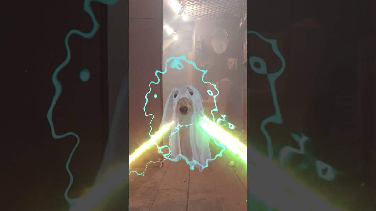 Daphne was the GHOST all along!! 👻