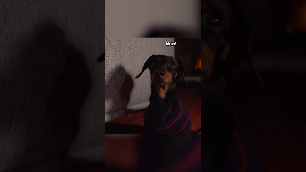 We tried to steal from Santa 😬 (didn’t work)