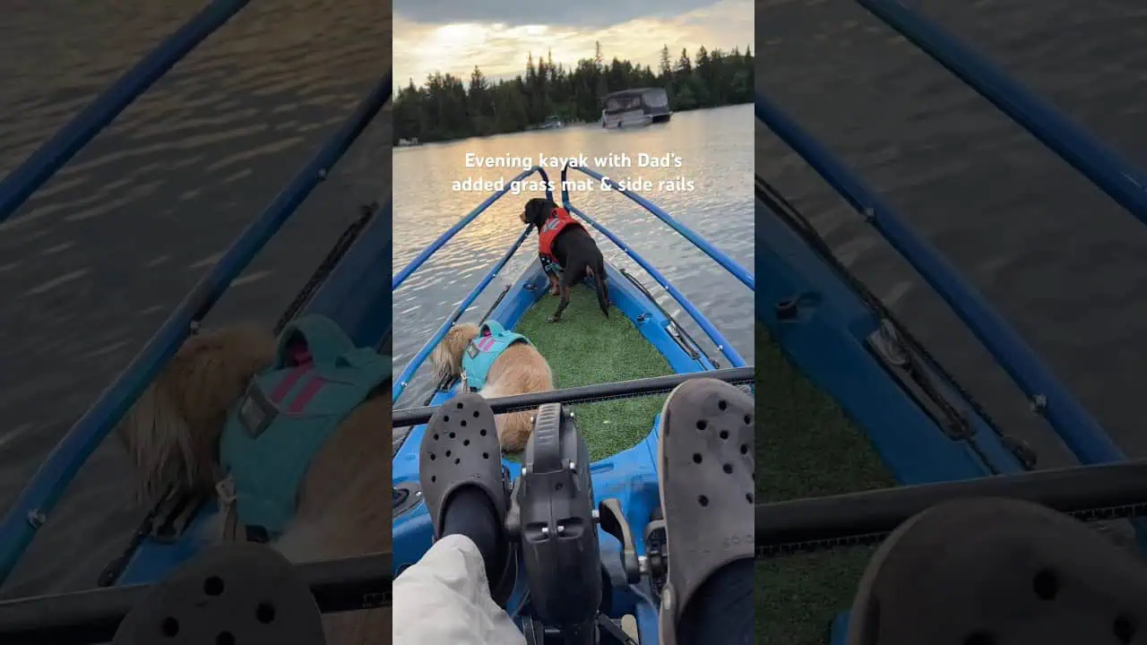 Crusoe & Daphne on a custom dog-friendly kayak!
