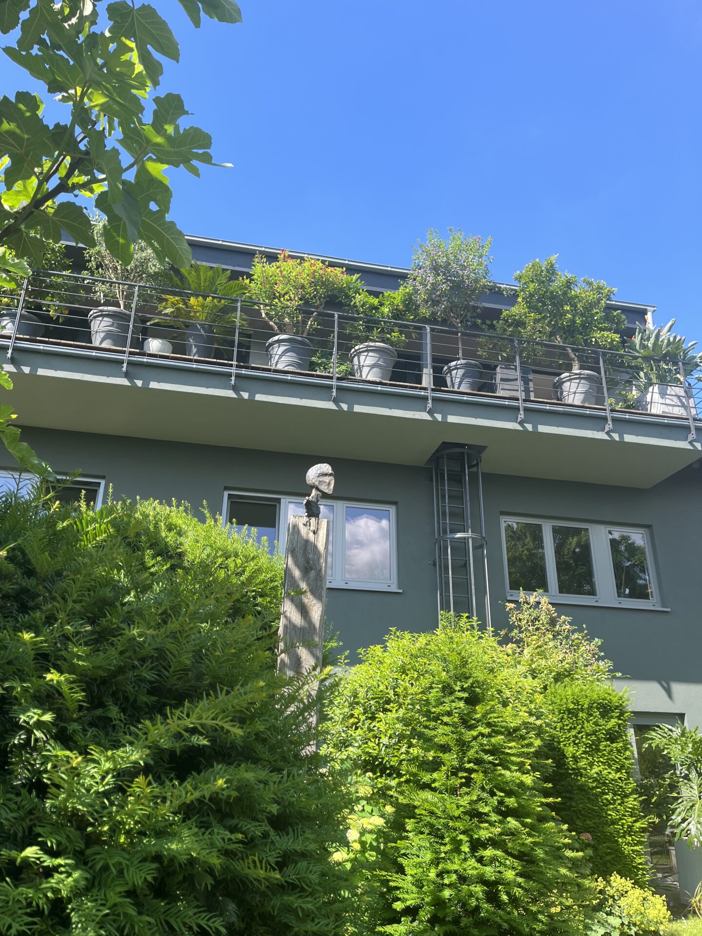 Moderner Balkon mit vielen Pflanzen und blauem Himmel
