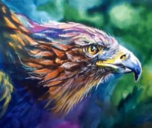 How to draw a realistic eagle step by step