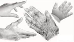 How to draw hands for beginners