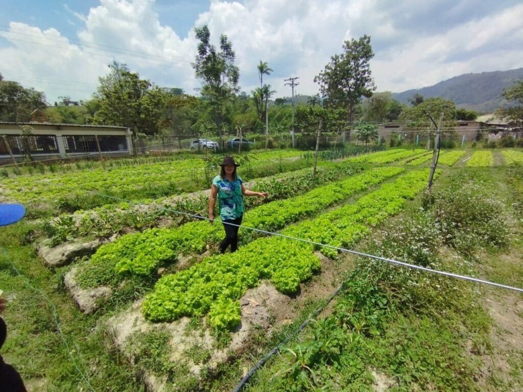 Vegetación agrícola en Huila TV, Colombia, con cultivos verdes y una mujer campesina en un ambiente rural y natural.