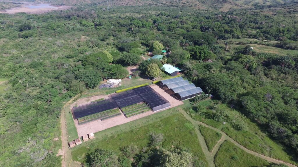 Rustic farm with greenhouses and lush greenery in Huila, Colombia, showcasing local agriculture and rural life. Ideal for promoting tourism and rural development in Huila Tv's region.