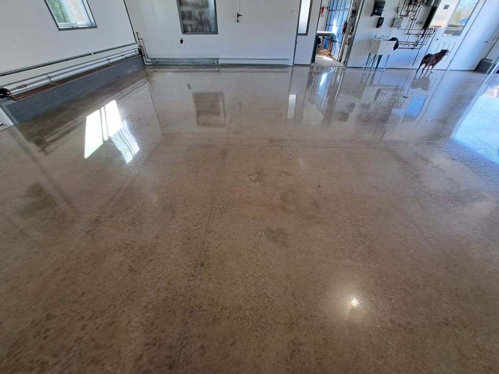 A smooth, shiny concrete floor installed by J&P Coatings makes the garage look bright and clean. A dog stands near the open door.