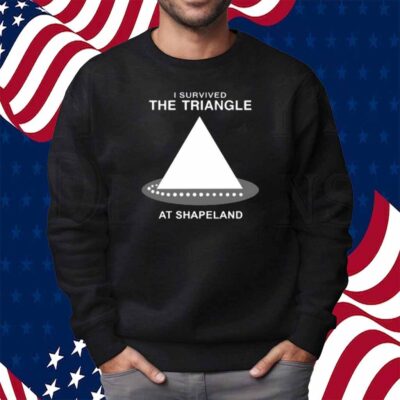 I Survived The Triangle At Shapeland Shirt