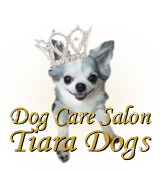 Dog Care Salon Tiara Dogs-ドッグケアサロンティアラドッグス