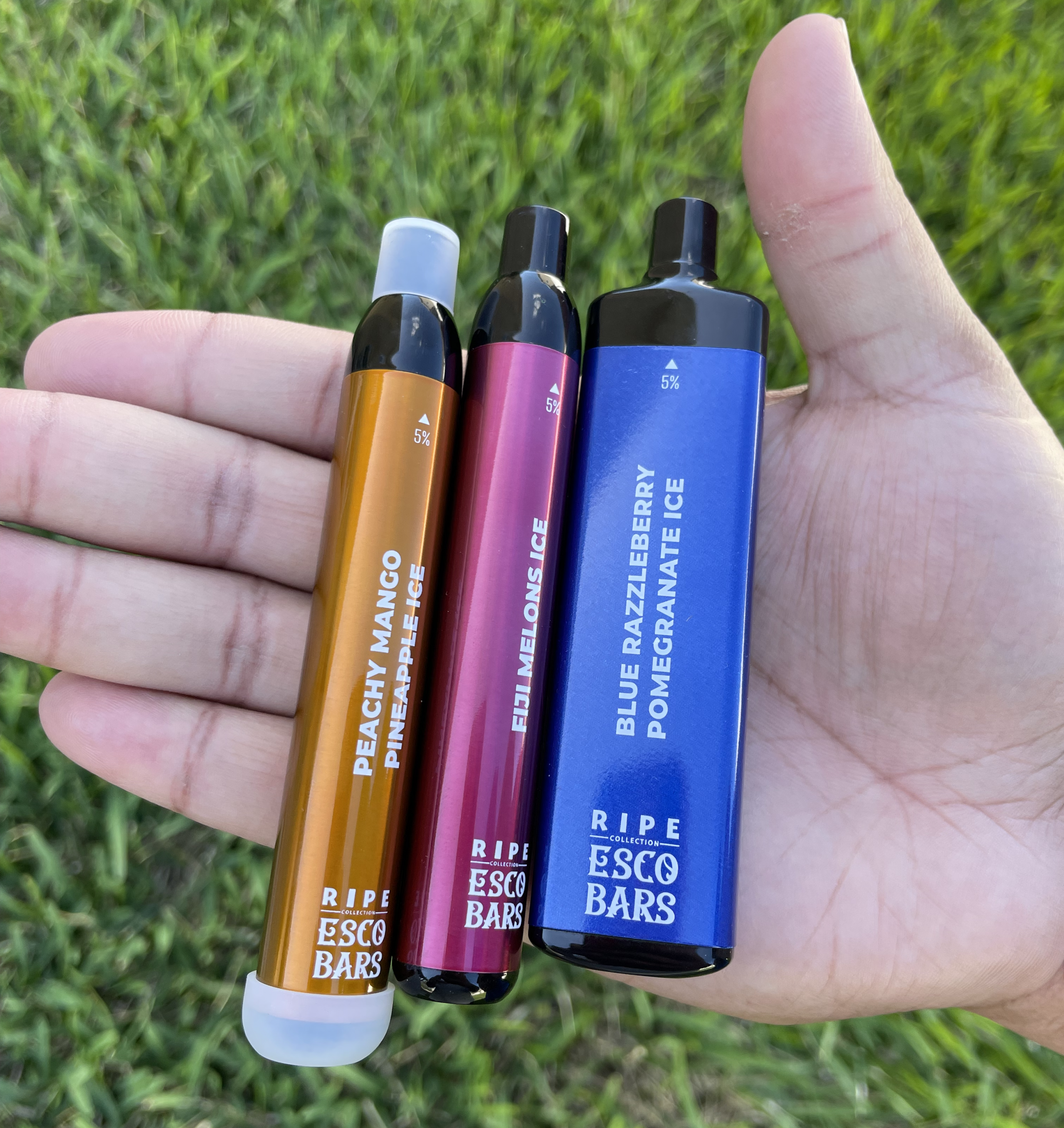 Ripe Esco Vape Bar