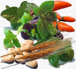 Herbs & Spices of Thailand [