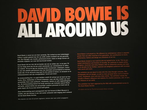 david-bowie-is