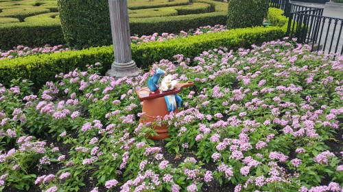 remy's ratatouille hide & sqeak