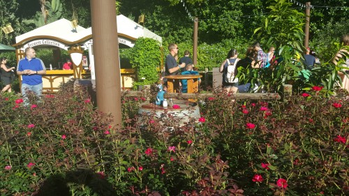 remy's ratatouille hide & squeak