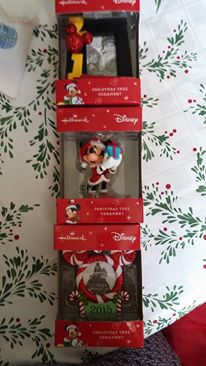 12395591_1100053816705373_1096685394_n