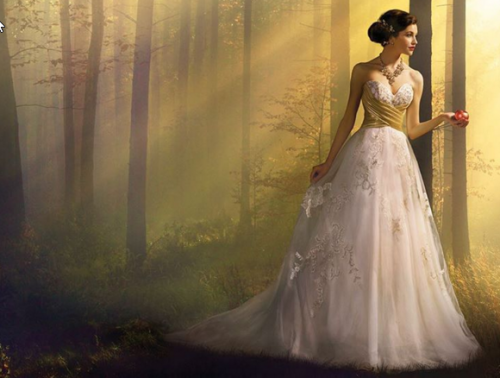 2015-12-06 09_25_14-Alfred Angelo (@alfredangelobridal) • Instagram photos and videos