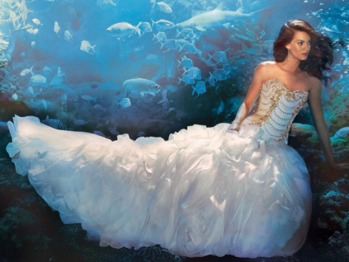 2015-12-06 09_26_01-Alfred Angelo (@alfredangelobridal) • Instagram photos and videos