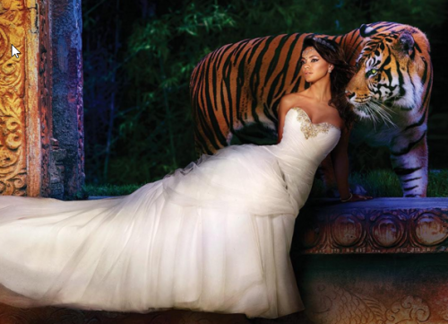 2015-12-06 09_26_57-Alfred Angelo (@alfredangelobridal) • Instagram photos and videos