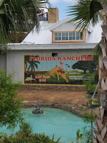 disney springs
