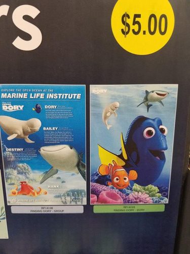 14030793_1277671925610227_1904502075_n