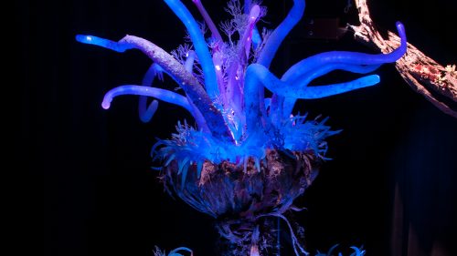 AVATAR Theme Park Merchandise