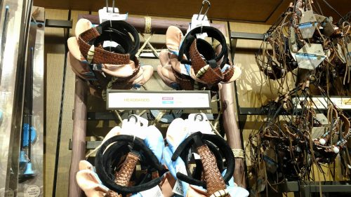 pandora: world of avatar