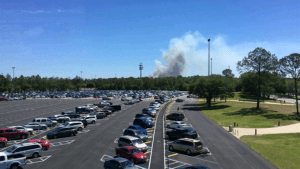 Cars fill the Disney World parking lot as smoke from a distant brush fire rises beyond the treeline near the resort.