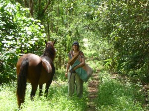 New Optional Activity from Island Spirit Horse Riding