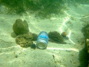 We don't have that much litter but still it's there.