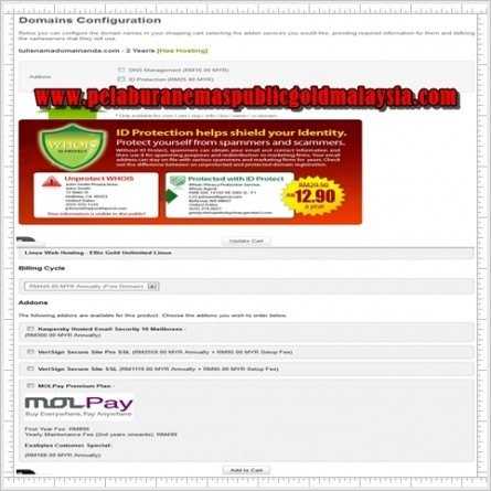 addon domain dan hosting