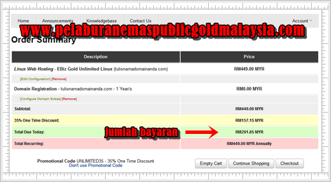bayaran hosting dan domain