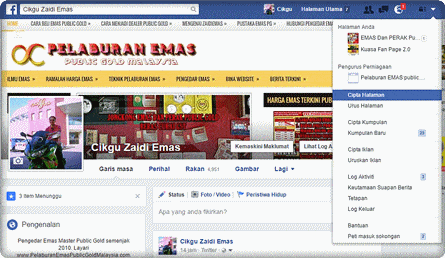 cara-bina-fanpage-facebook