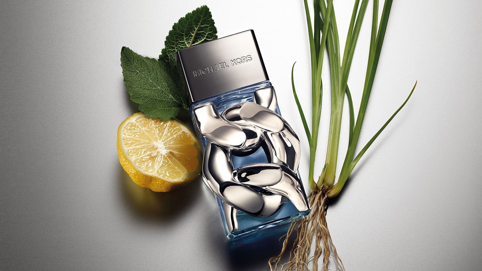 Michael Kors Pour Pour Homme fragrance