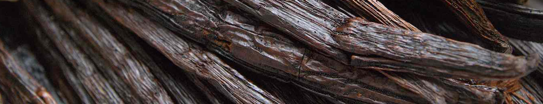 Vanilla note – warm and inviting