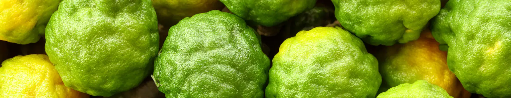 Bergamot note – luminous citrus essence that enlivens the composition with natural energy