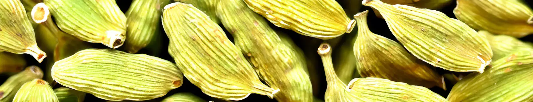 Cardamom note – warm, aromatic spice with green and balsamic facets