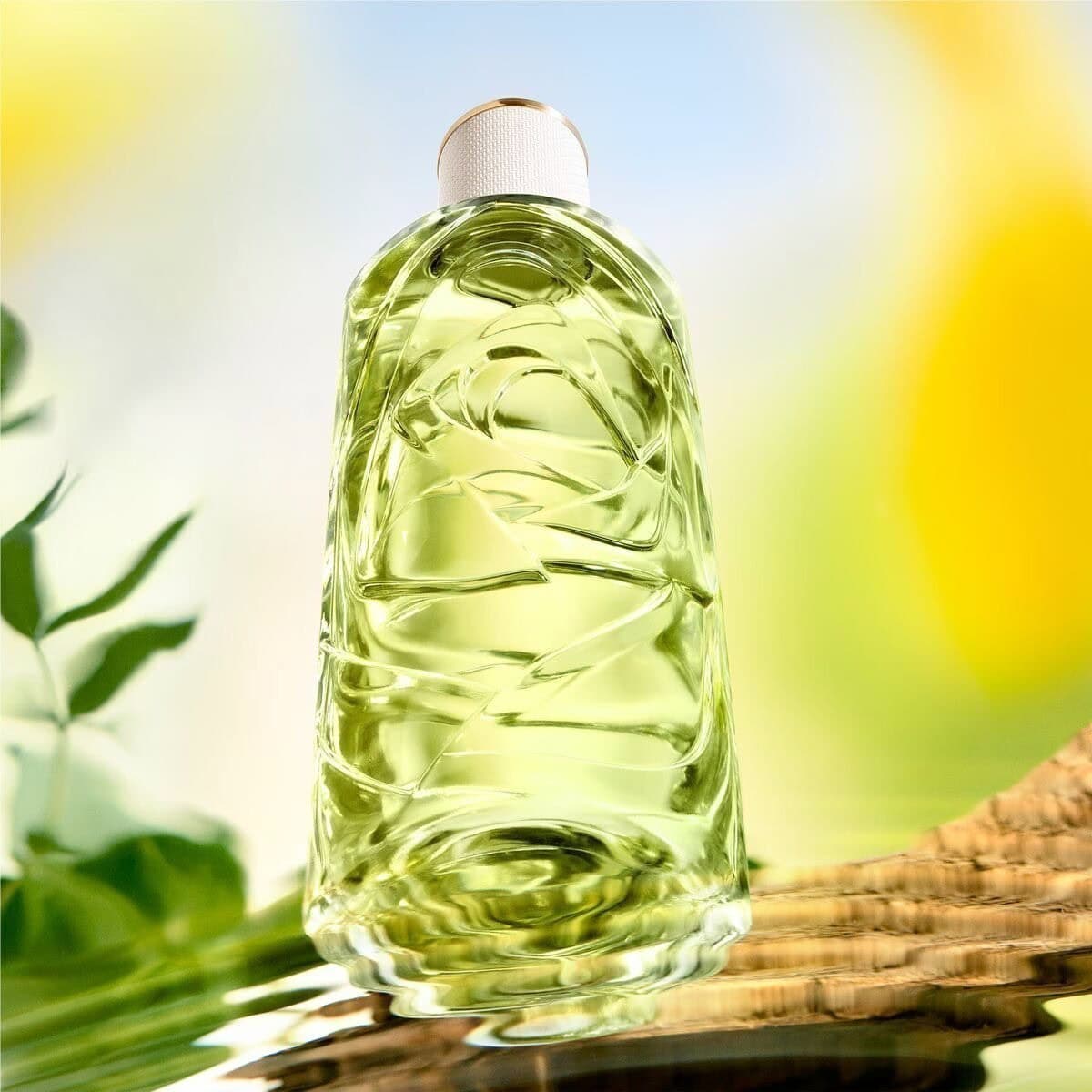 lancome ôff now eau de toilette 2025