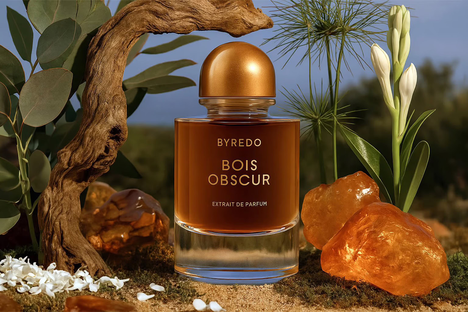 Byredo Bois Obscur Extrait de Parfum 2025