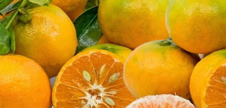 Mandarin – bright citrus note