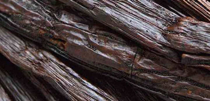 Bourbon Vanilla – creamy and enveloping base