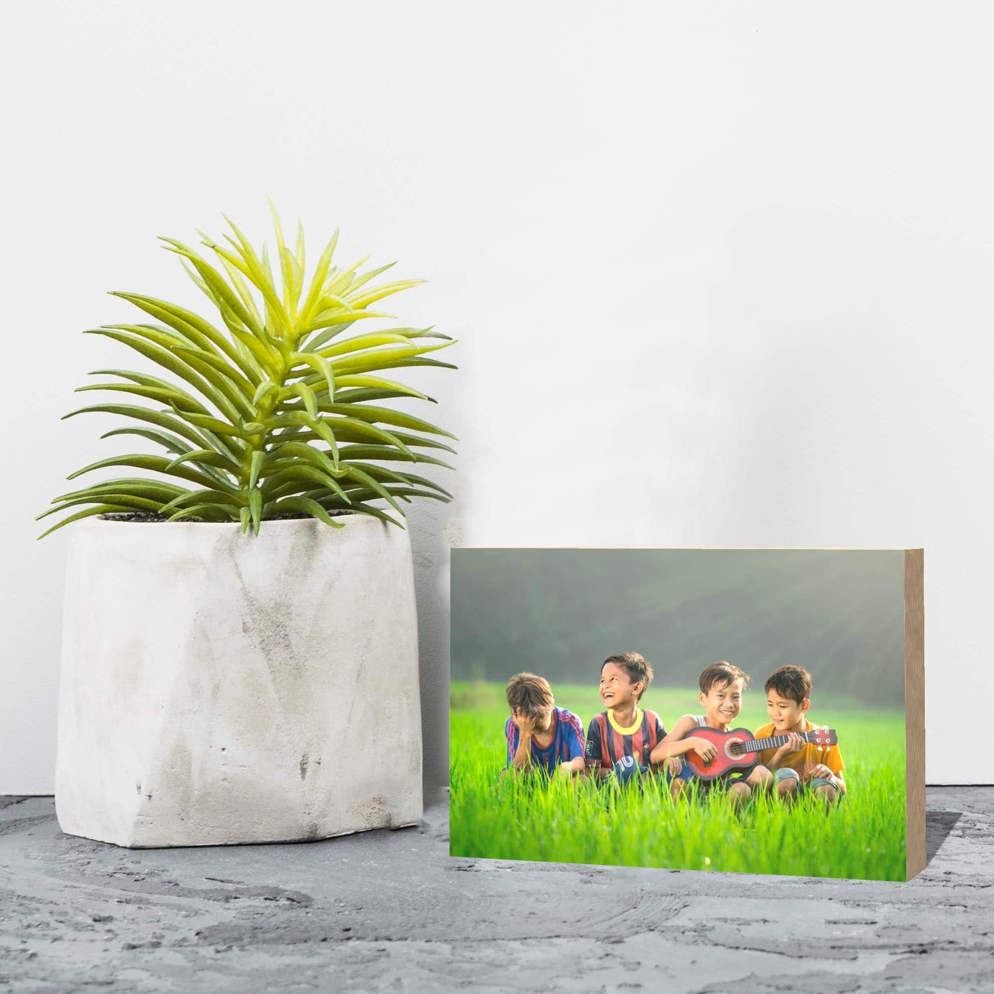 תמונה על עץ בגודל 9*14