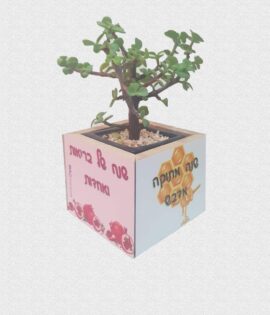 הדפסה על עציץ עציץ מעוצב | עציץ עם הקדשה אישית