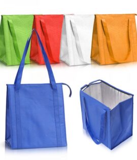 אנטארקטיקה – סל קניות וצידנית